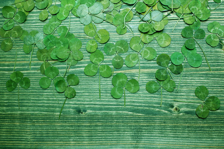 Green real clover leaf on wooden background. top viewの写真素材