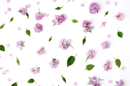 Pattern with lilac petals on white background. Flat lay, top viewの写真素材