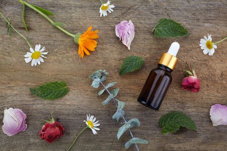 Essential oils with herbs and flowers on wooden tableの写真素材