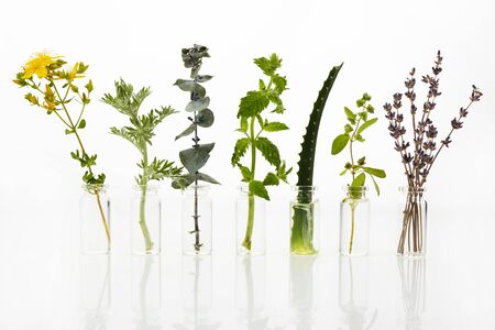 Bottle of essential oil with herbs on white backgroundの写真素材