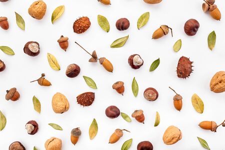 Autumn composition made of nuts, acorns, chestnuts and dry leaves on white background. Flat lay, top view.の写真素材