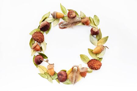 Autumn composition, frame made of nuts, acorns, chestnuts and dry leaves on white background. Flat lay, top view.の写真素材