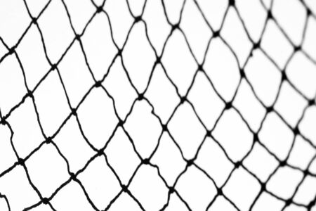 Square net shadow on white wall background. Black and white image to overlay the photos or the mockup. Real photoの写真素材