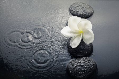 shiny zen stones with water drops and plumeria flower. Top viewの写真素材