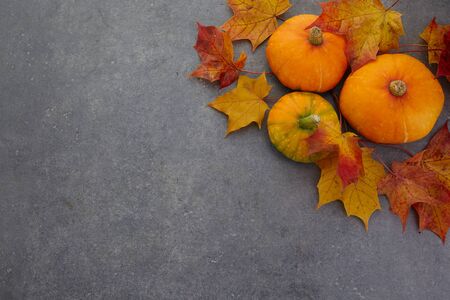 Thanksgiving or Autumnal holiday background, top view, copy space. holiday composition with pumpkins, autumn leaves.の写真素材
