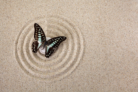 Zen garden meditation stone for concentration and relaxation with butterfly. Top viewの写真素材