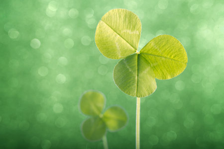 Irish Clover Leaf for St. Patricks Day Background on bokeh background