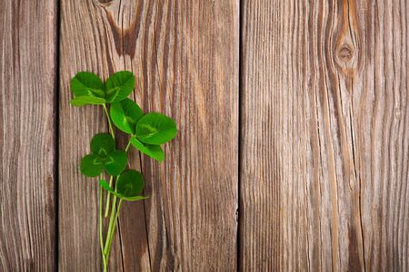Green clover leaf on vintage wooden background. Top viewの写真素材
