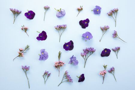Flowers composition. Pattern made of various colorful flowers on blue background. Flat lay, top viewの写真素材