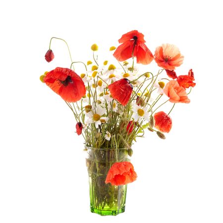 Poppy and daisy wild flowers bouquet isolated on white background. Floral background.の写真素材