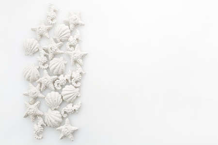 Marine ocean day background with shells starfishes and seahorses. white on white conceptの写真素材