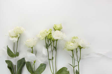 Eustoma flowers background in flat style on white background. Holiday composition. Wedding fashionの写真素材