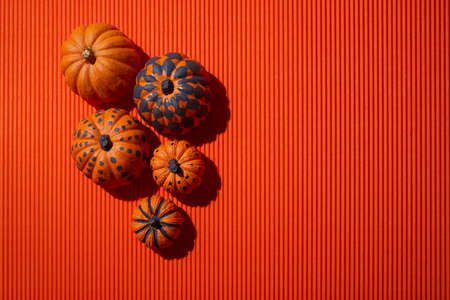 Orange decorated pumpkins on orange background. Flat lay, top view.の写真素材