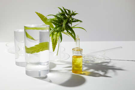 Cbd htc canabbis oil in laboratory. Concept of medicine.の写真素材