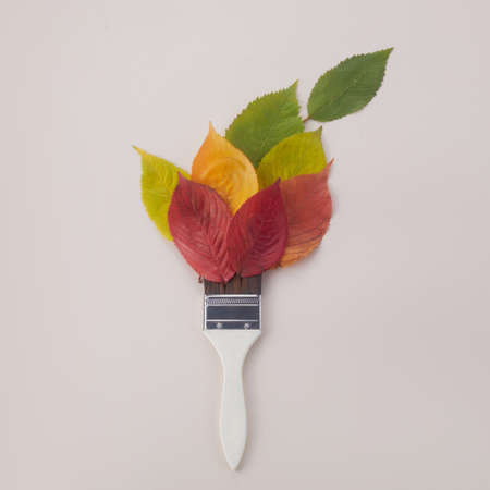 Autumn leaves rainbow colors gradient with paintbrush. Minimal concept.の写真素材
