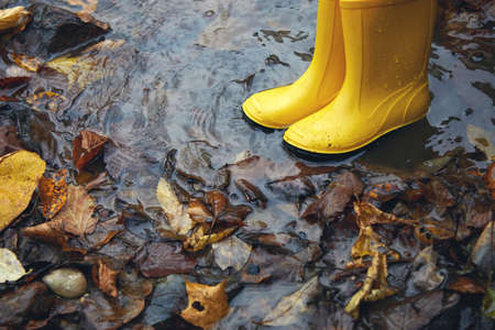 Feet of child in yellow rubber boots jumping in puddle at the autumn day.の写真素材