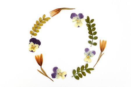 Wreath made from dry leaves and flowes on white background. Dry flowers frame. Flat lay.の写真素材