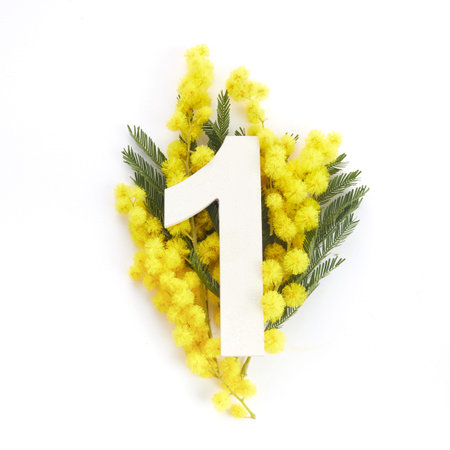 Layout with mimosa folwers and number one. Flat lay. Top view