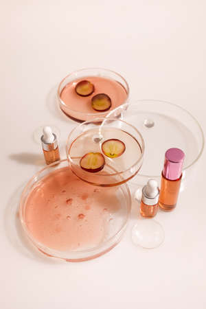 Abstract cosmetic laboratory. Organic bio cosmetic with grapes seeds oil and herbal ingredients. Top viewの写真素材