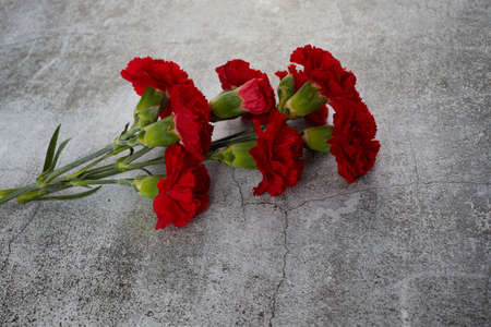 Beaytiful carnation flowers on grey background. Top viewの写真素材