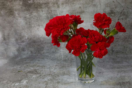 Red carnation flowers in glass vase on grey background.の写真素材