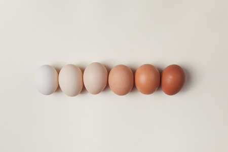 Natural colored gradient easter eggs line. Minimal Easter concept.の写真素材