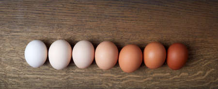 Natural pastel colored gradient easter eggs line. Minimal Easter concept. Top viewの写真素材