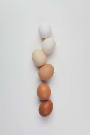 Different brown colors eggs on white background. Color gradient. Zero waste Easter concept.の写真素材