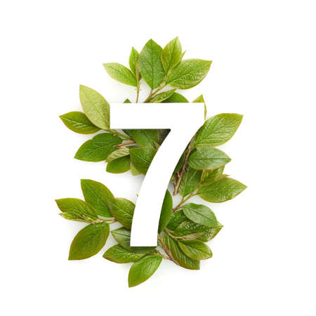 Number seven shape with green leaves. Nature concept. Flat lay. Top viewの写真素材