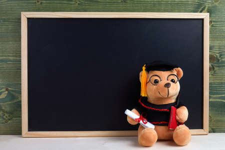 Cute teddy bear with nice graduation clothes and diploma in front of black chalkboard. School conceptの写真素材