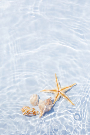 Starfish and seashells floating on Water. Sun and shadows. Minimal nature background.の写真素材