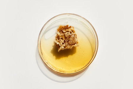 Abstract cosmetic laboratory. Chemical laboratory research. Nature cosmetics with honey.