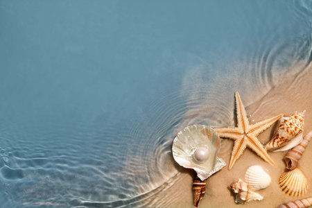 Starfish and seashell on summer beach in sea water. Summer background