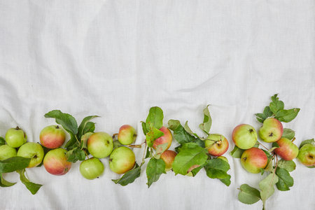 Autumn background of small apple and leaves on biege linen textile background. Empty space for text. Top view.の写真素材