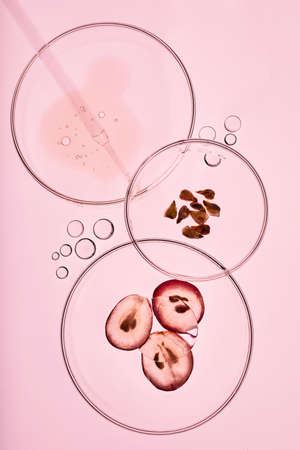 Organic bio cosmetic with grapes seeds oil and herbal ingredients. Top viewの写真素材