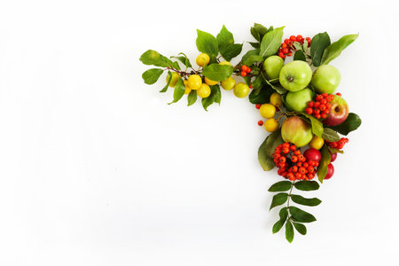 Framework with Autumn yellow, orange and red vegetables and fruits on white background, top view,...