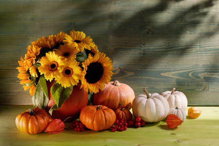 bright autumn flowers composition in a pumpkin vaseの写真素材