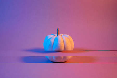 Halloween pumpkin with on neon light background. Minimal concept.の写真素材