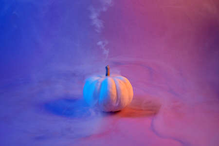 Halloween pumpkin with smoke and neon light on pastel background. Minimal concept.の写真素材