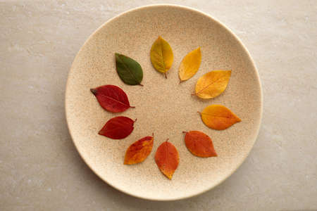 Autumn leaves laid out from green to red on a travertine background. The concept of changing the season.の写真素材