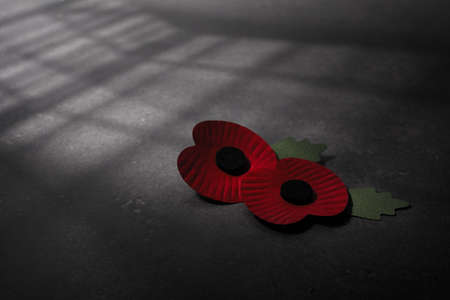 World War remembrance day. Red poppy is symbol of remembrance to those fallen in war. Red poppies on dark stone backgroundの写真素材