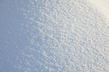 Winter snow background. Snowy white texture. Snowflakes.の写真素材