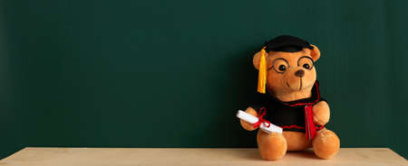 Teddy bear with graduation hat and diploma in front of green chalkboard. Graduation conceptの写真素材