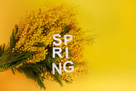 Frame of mimosa flowers with spring word on white background. Flat lay. Spring concept