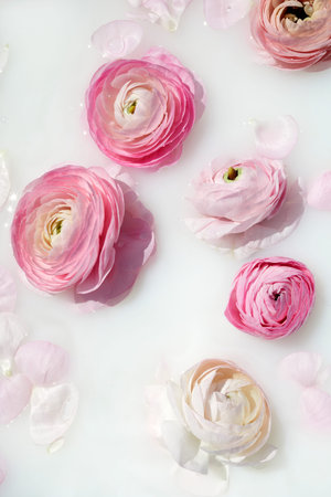 Milk bath with pink flowers and petals. Top view