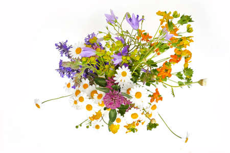 Beautiful bouquet of wildflowers isolated on white.の写真素材
