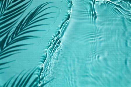 Shadow of a palm tree on a Blue water backgroundの写真素材