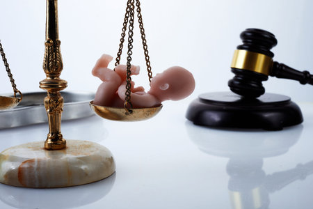 Reproduction laws and abortion or fetus rights