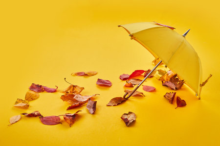 Yellow umbrella on the ground by the air and autumn leaves.の写真素材