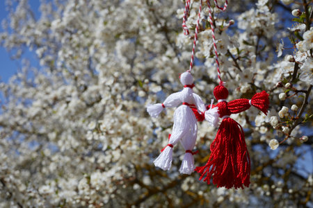 Bulgarian traditional spring decor martenitsa on the blossom tree. Baba Marta holiday.の写真素材